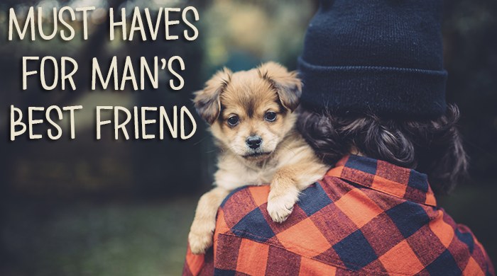 Delightful Dog Gifts Any Furry Friend Will Love
