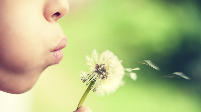 How to Get Major Relief From Spring Allergies