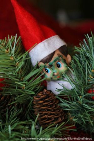 Camouflaged Elf on the shelf